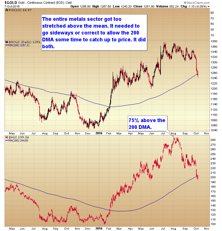 bull markets corrections